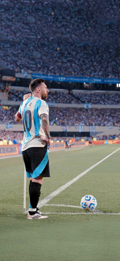 从替补到主力，他靠努力逆袭（他凭努力从替补跃升为主力）